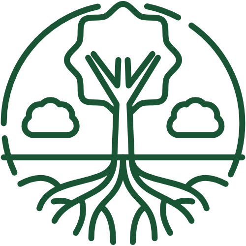 Gut Health Optimization